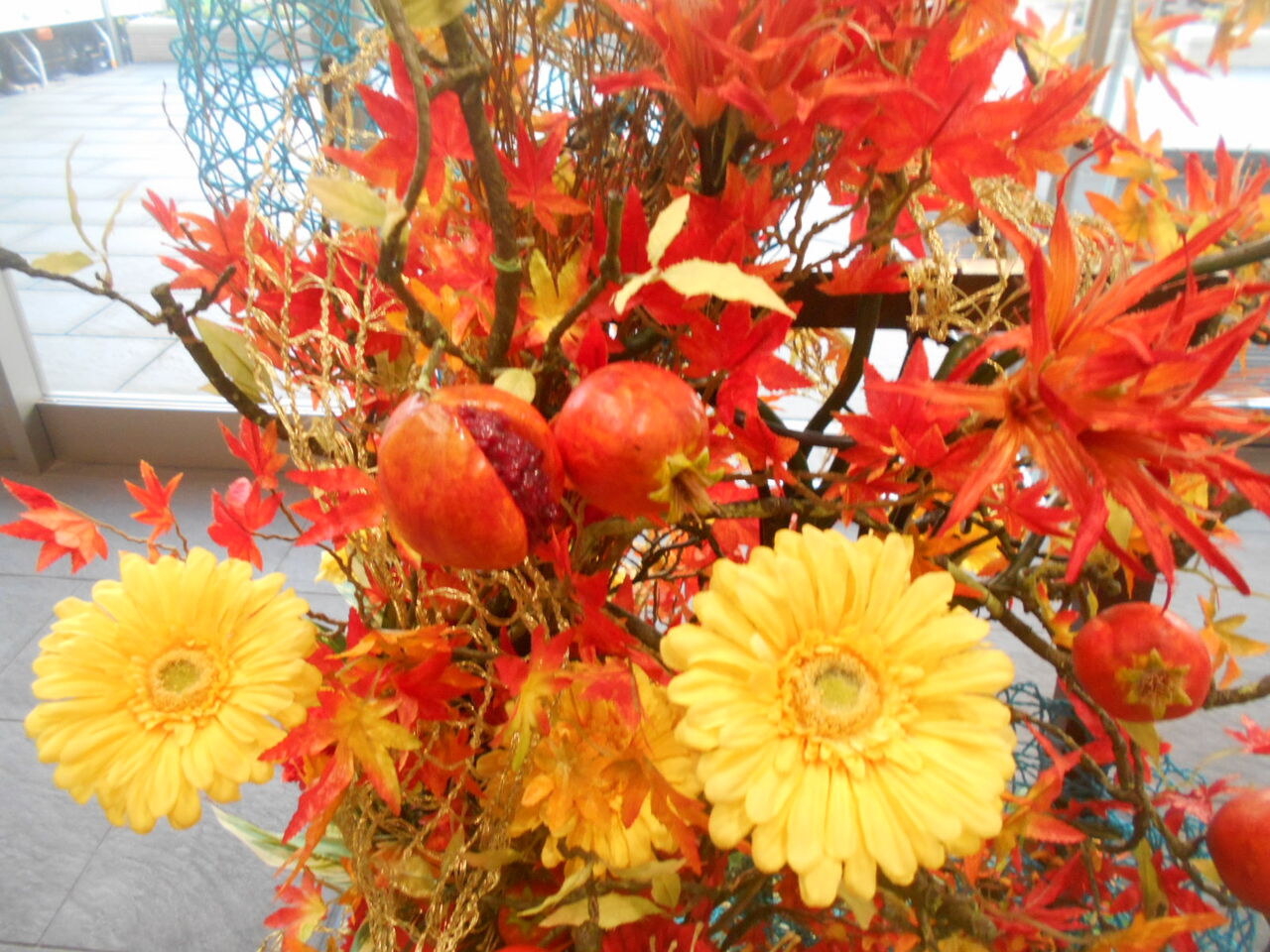DSCN0637
