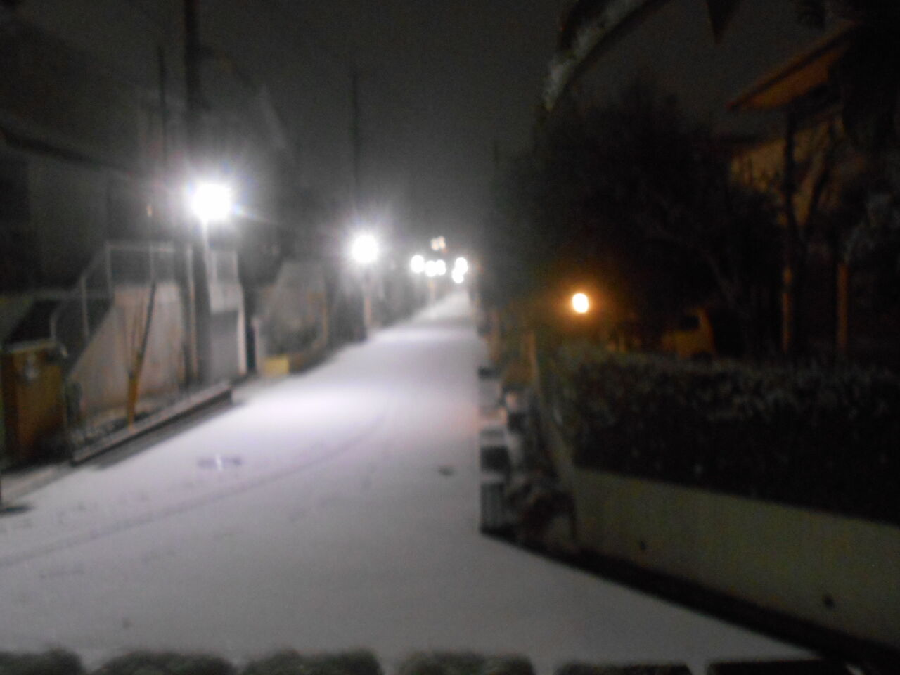 DSCN3520
