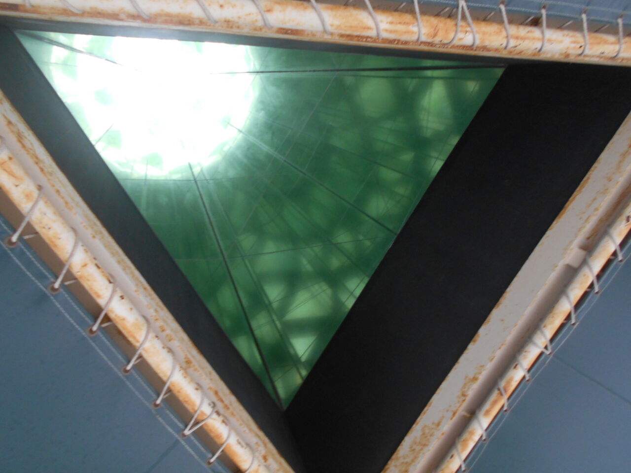 DSCN0798