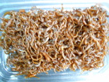 DSCN5578