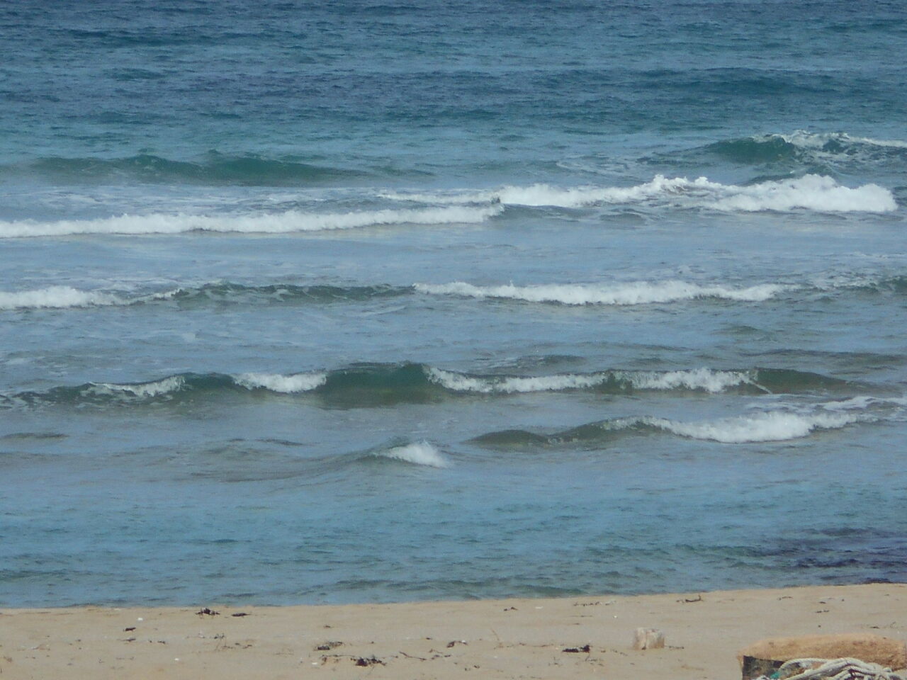 DSCN0910