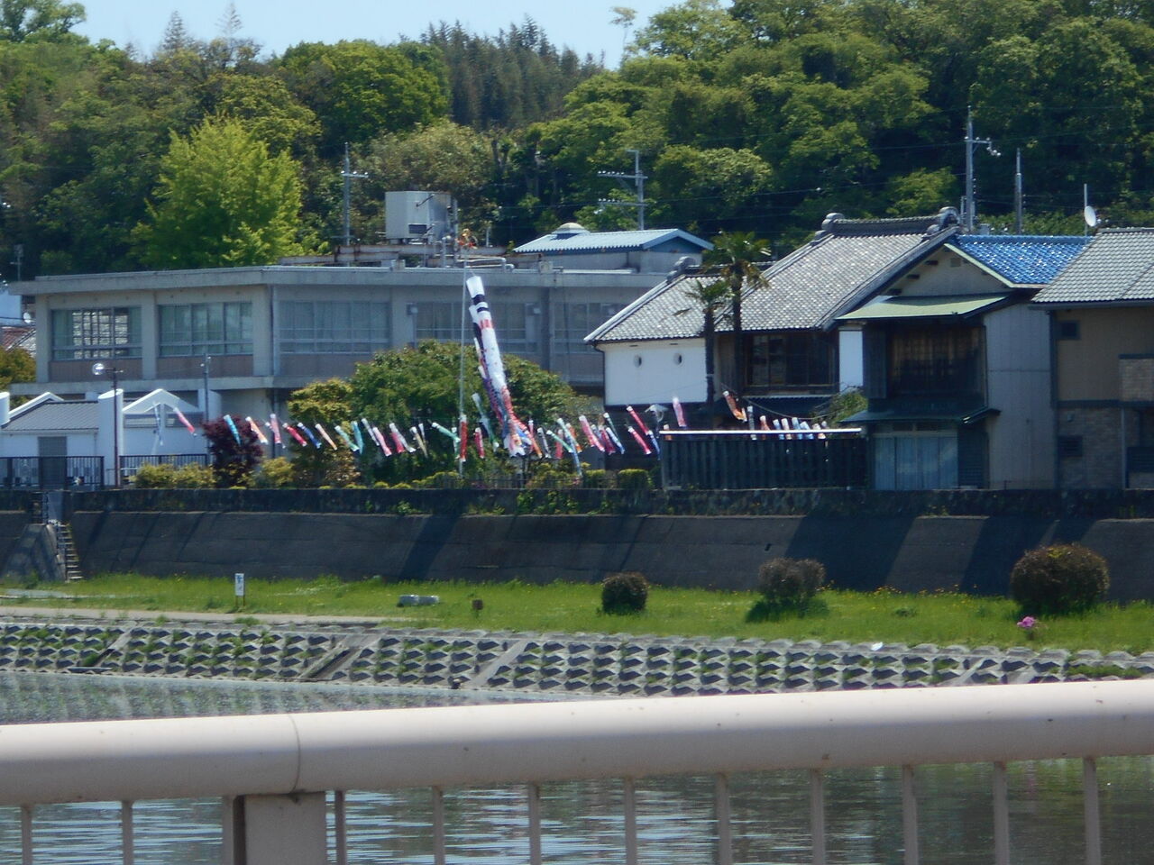 DSCN8235