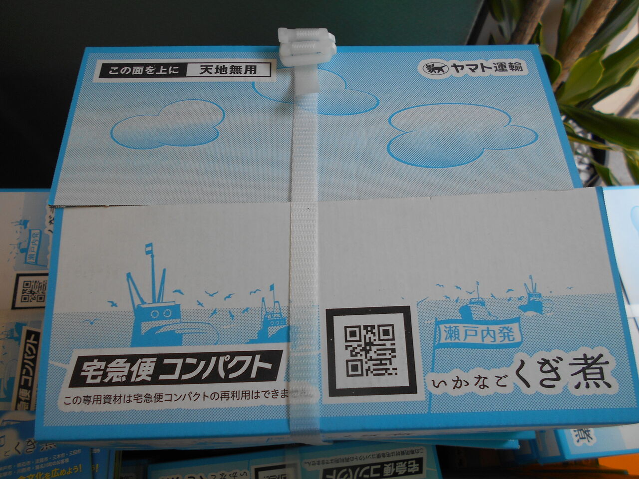 DSCN0600