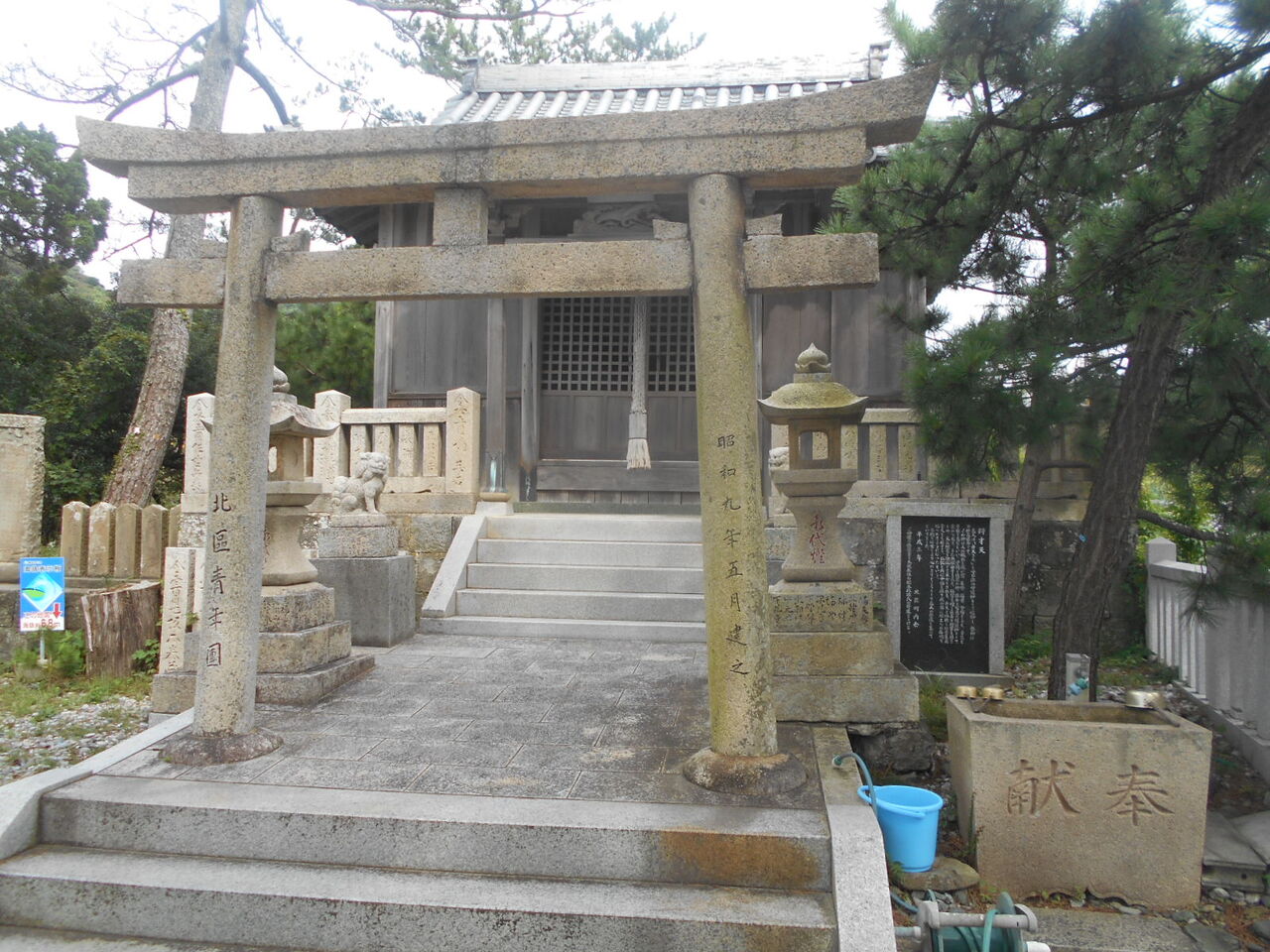 DSCN2605