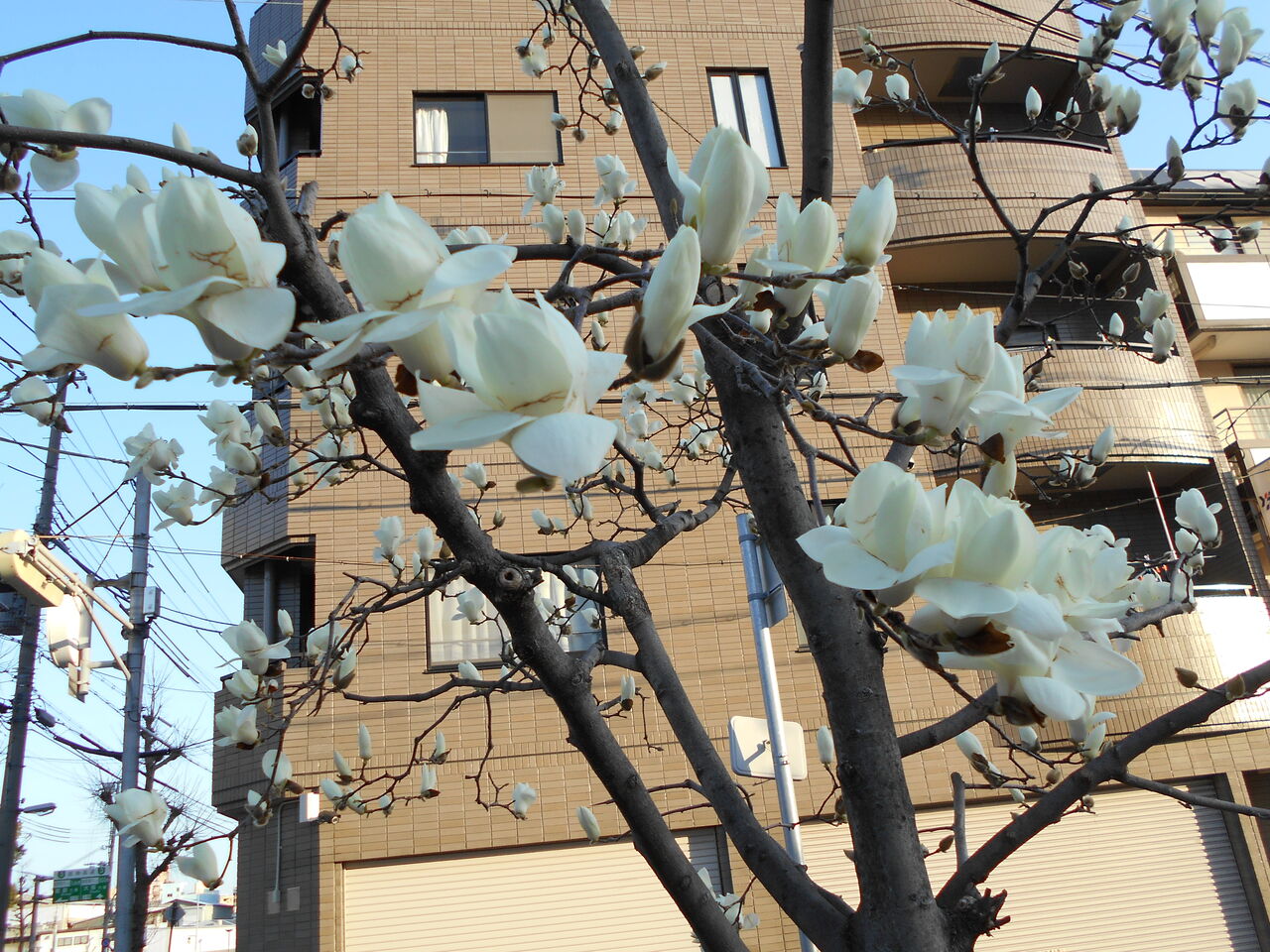 DSCN5758