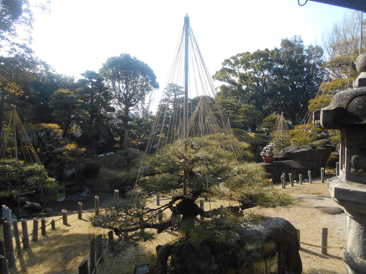 DSCN3862