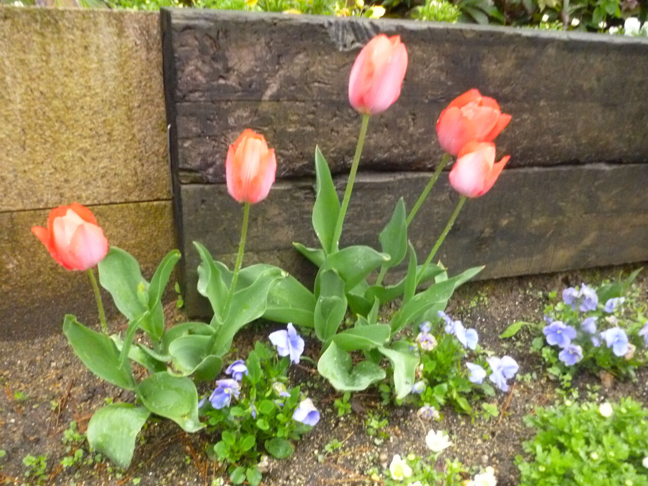 P1100632