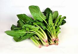 ほうれん草