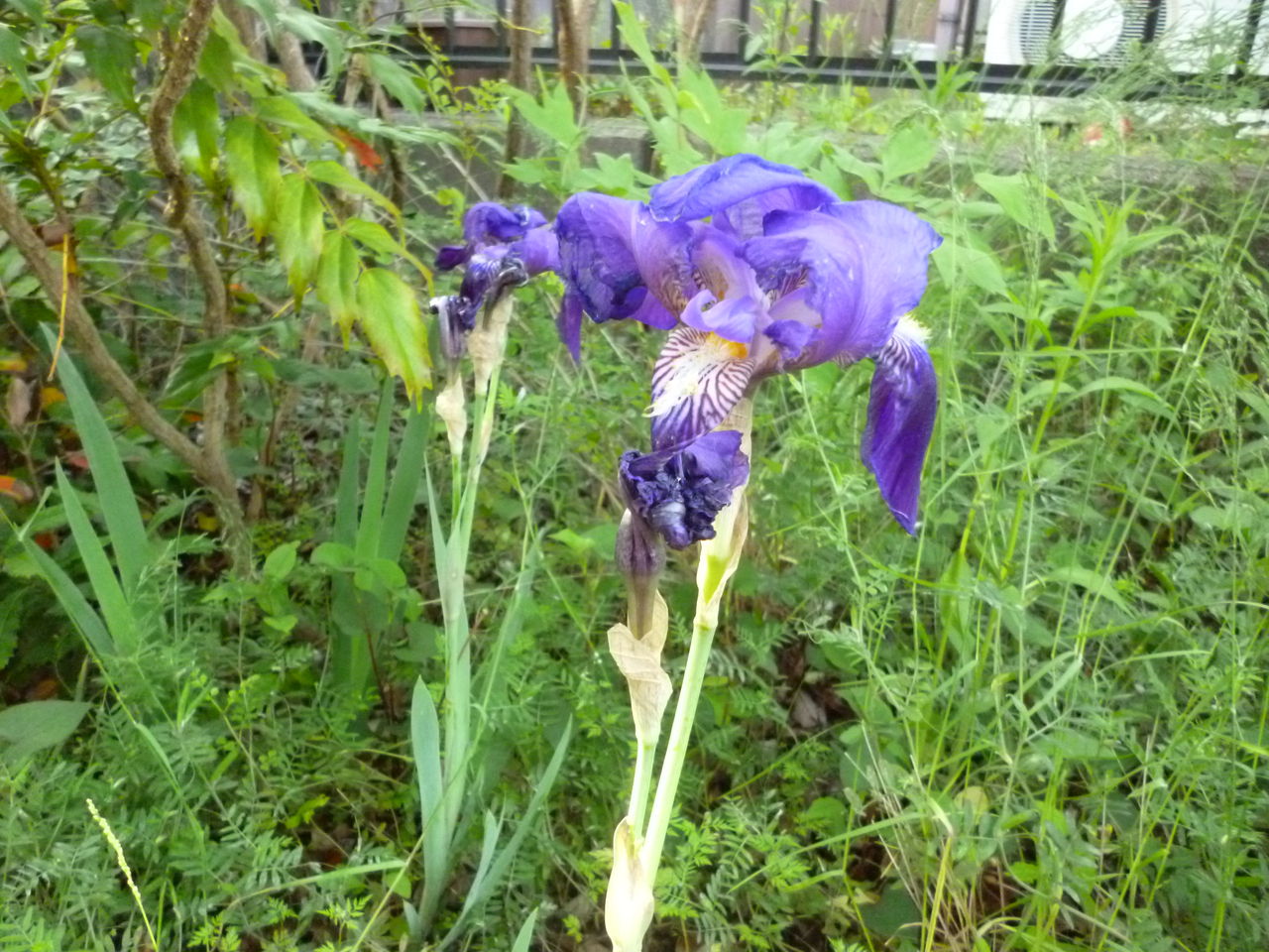 P1150425