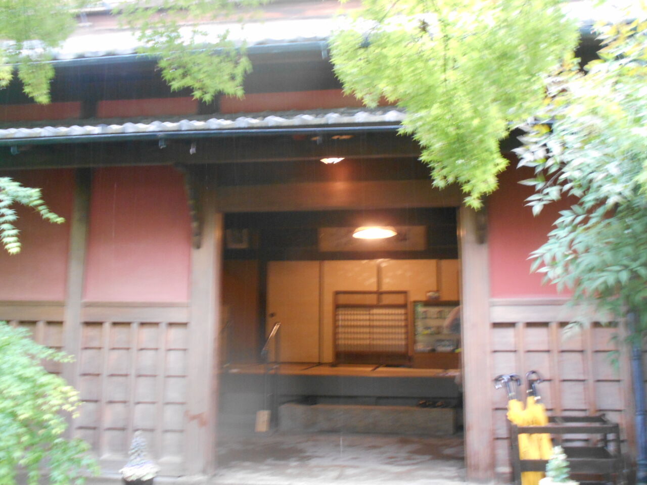 DSCN4420