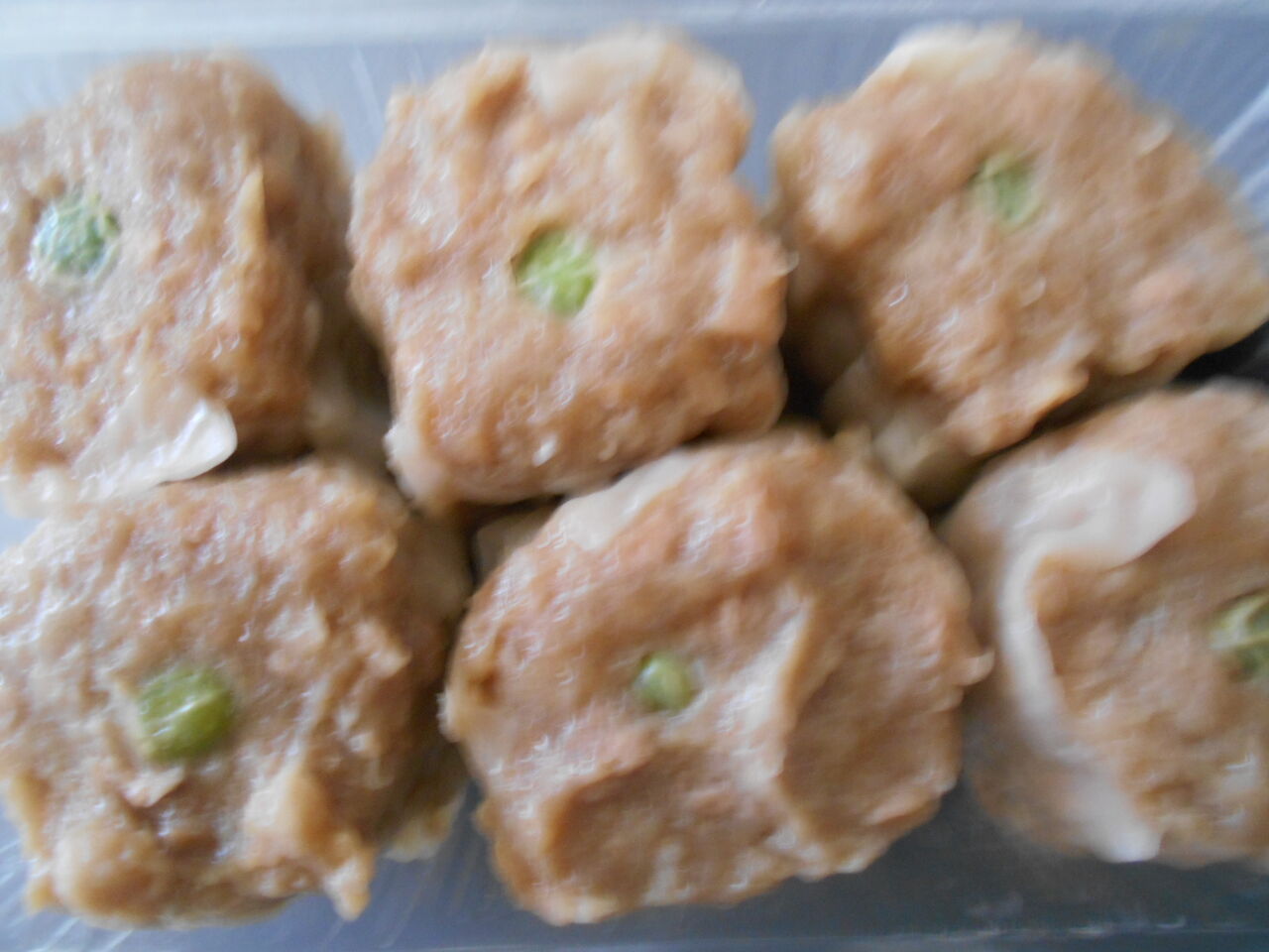 DSCN5041