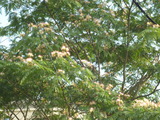 P1020086