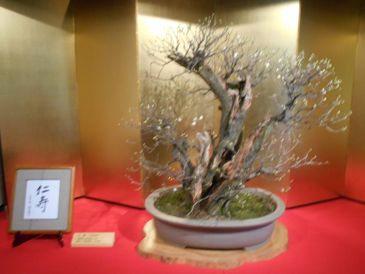 DSCN0767