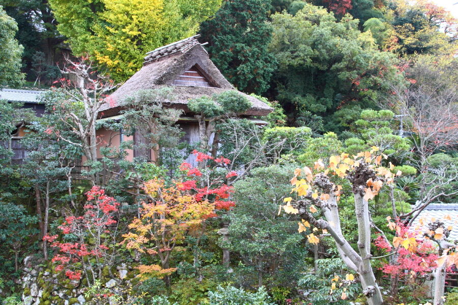 田淵氏庭園5