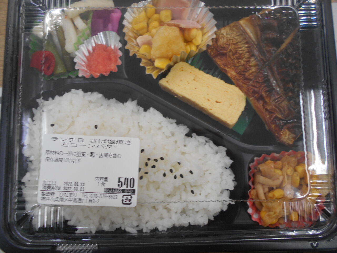 DSCN9597