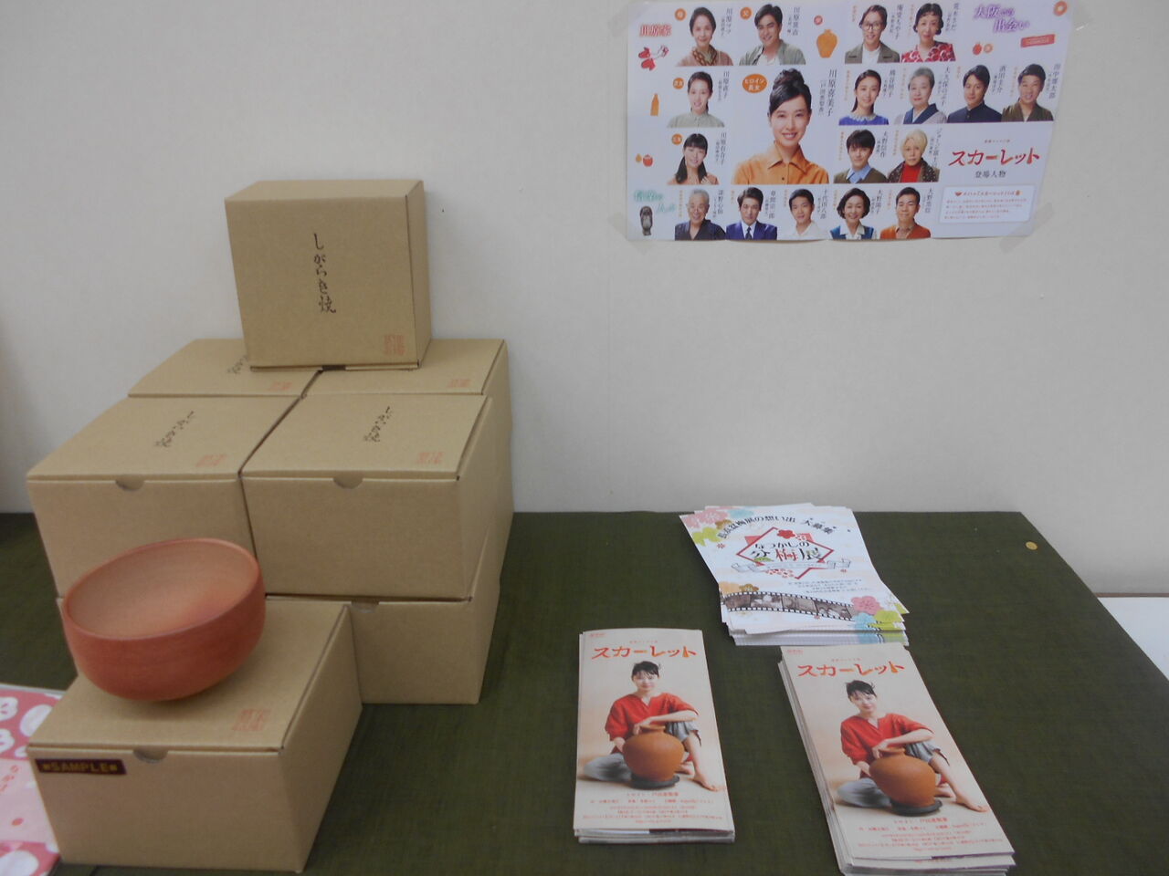 DSCN0784