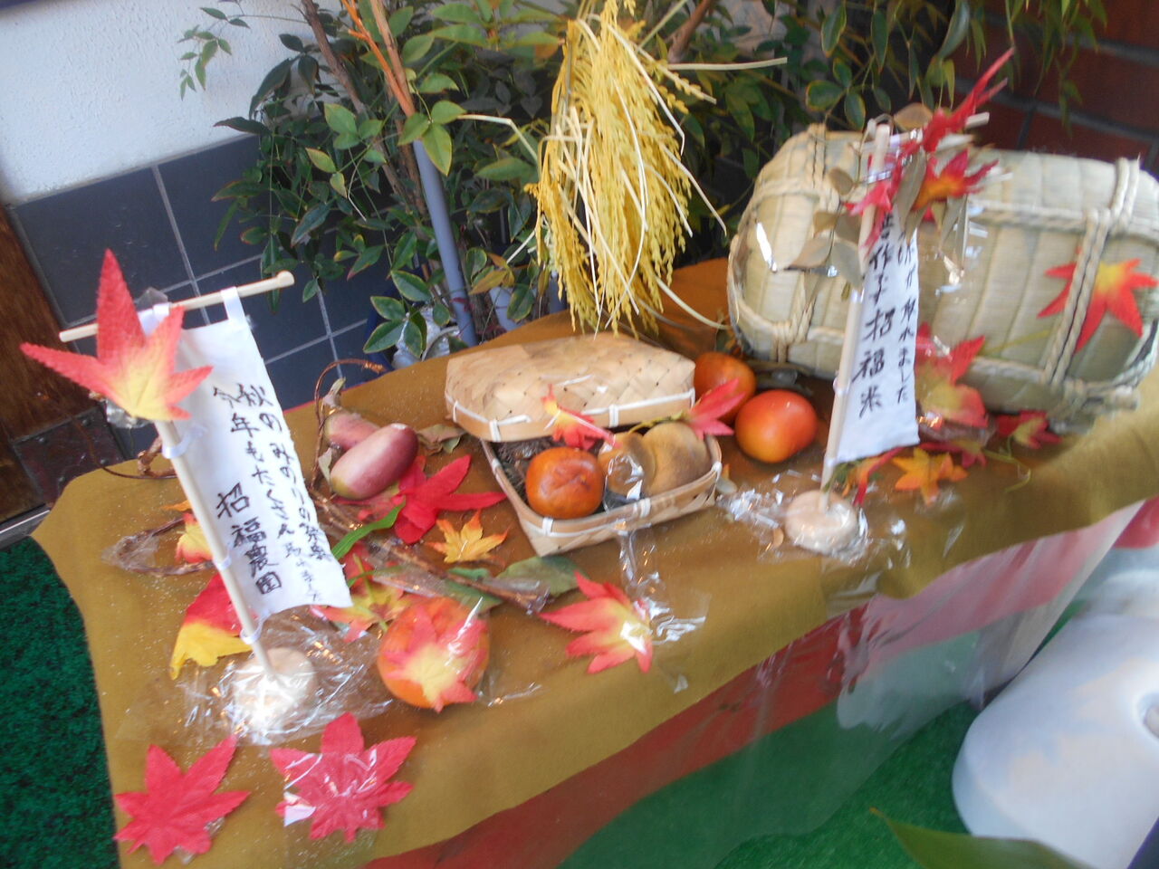 DSCN0666