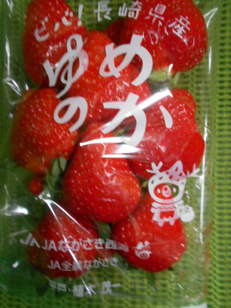 DSCN2524