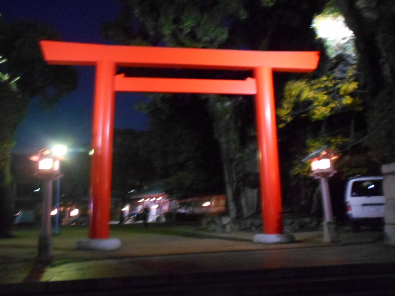 DSCN6408