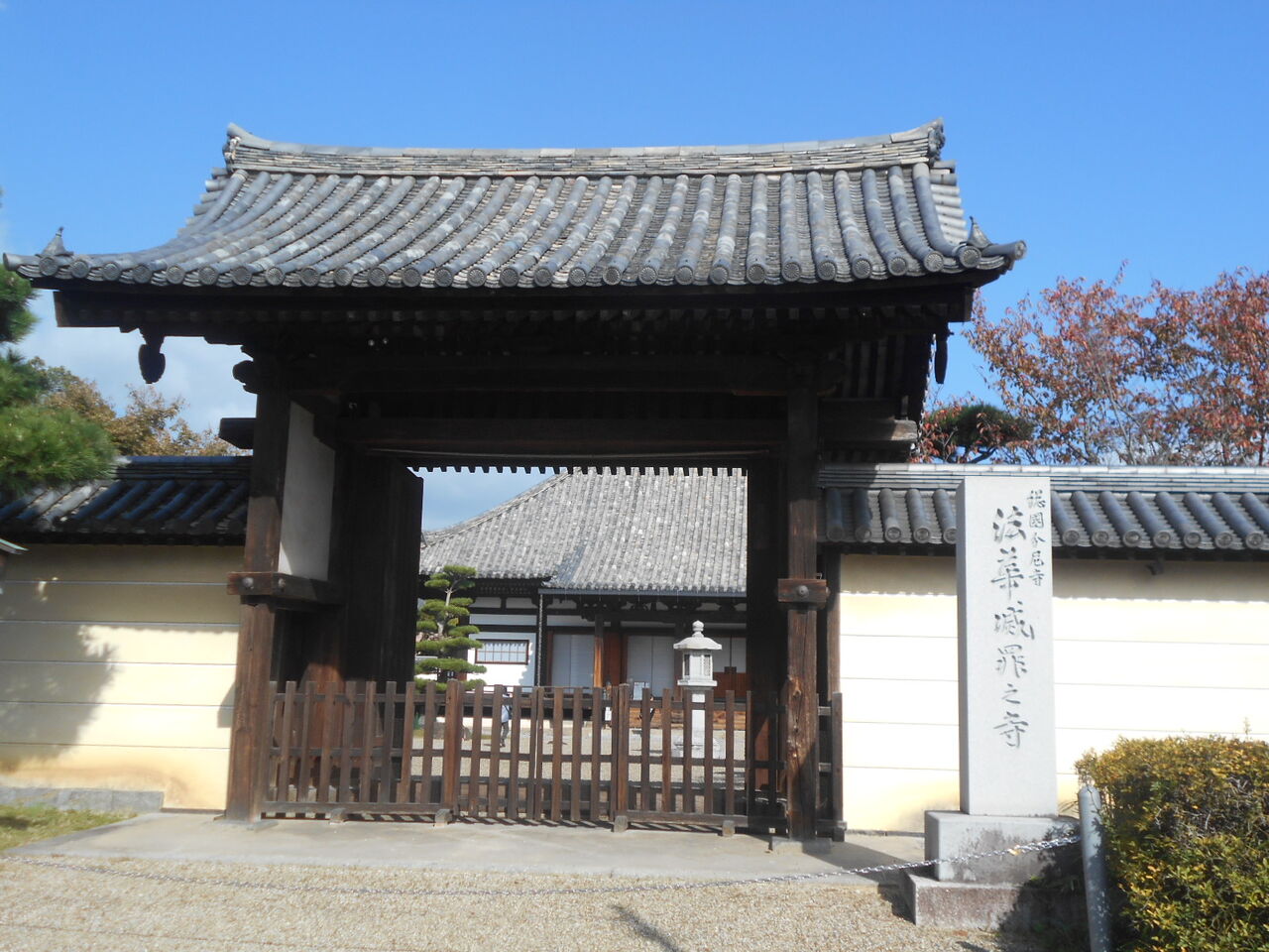 DSCN0232