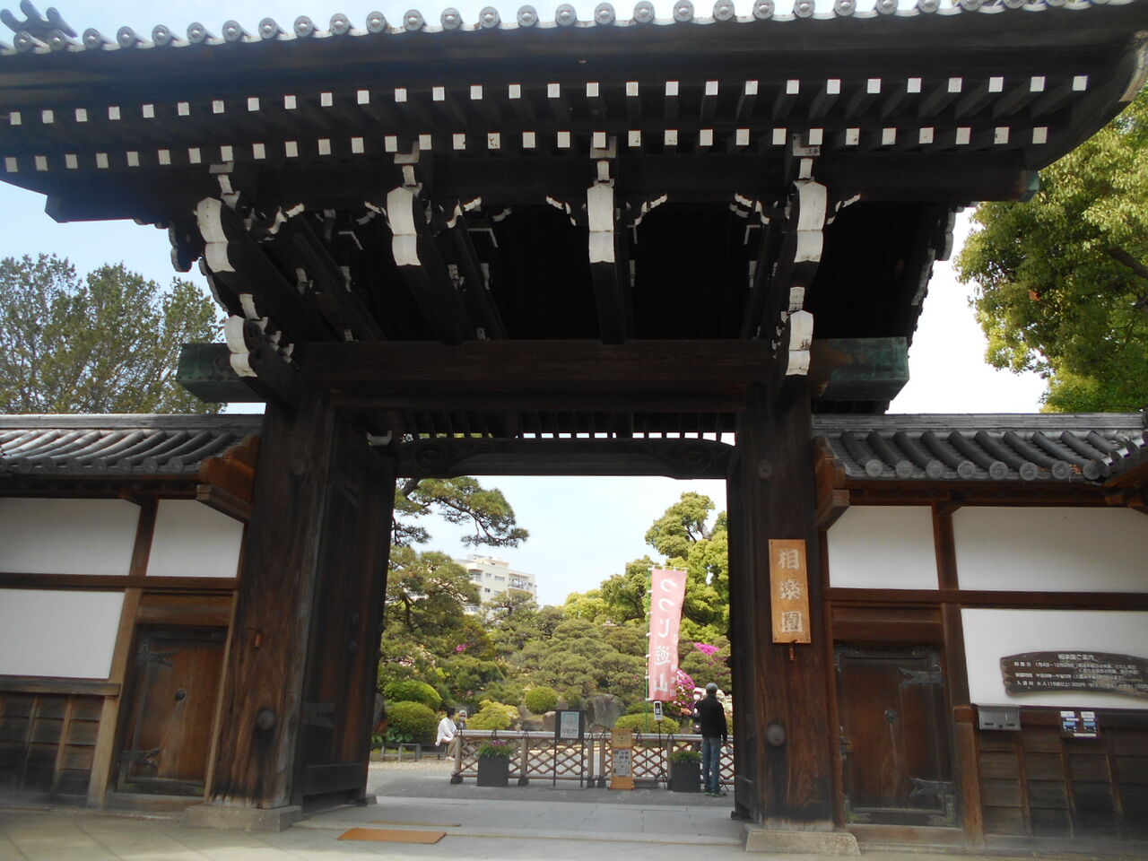 DSCN8022