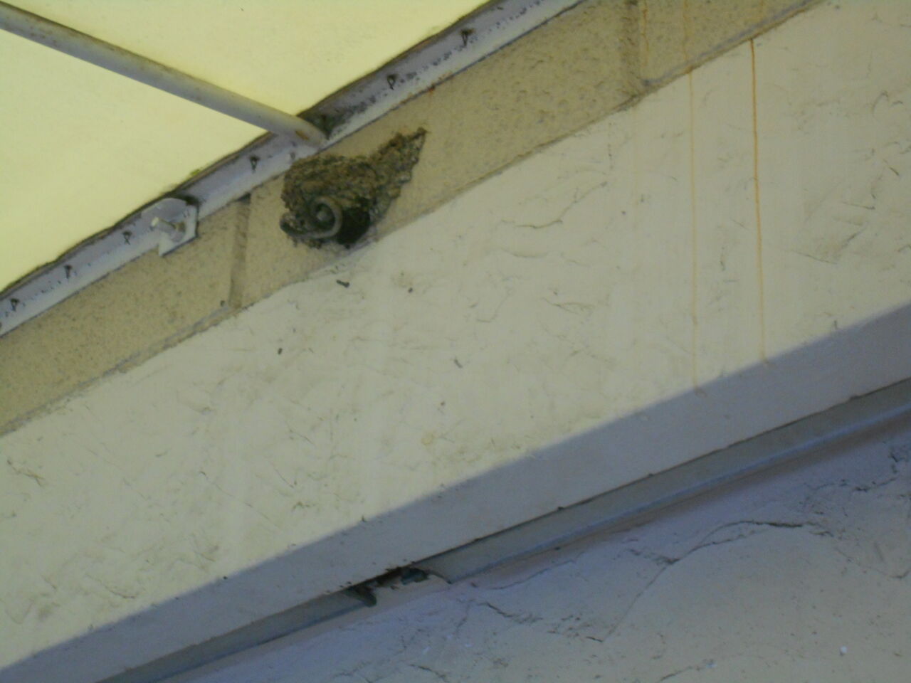 DSCN1443