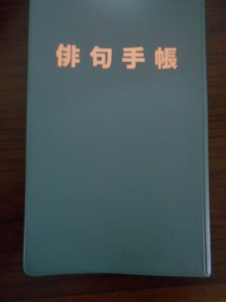 DSCN5300