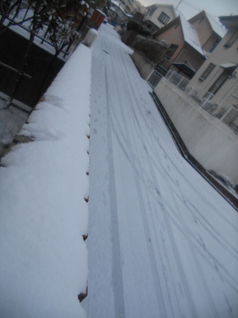 DSCN1773