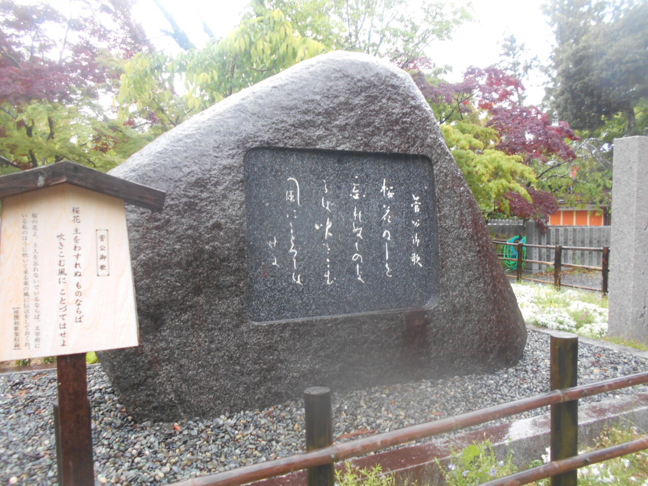 DSCN4407