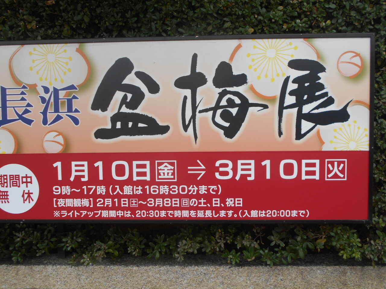 DSCN0765