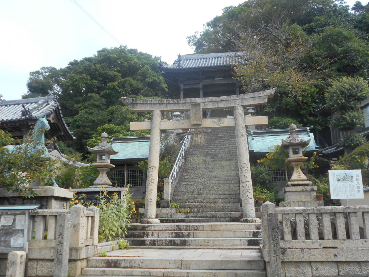 DSCN2599