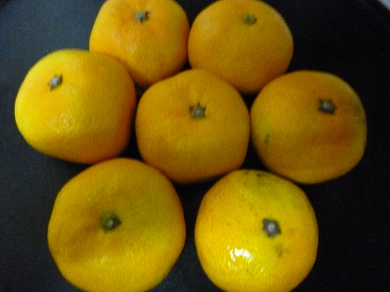 ̪´»2