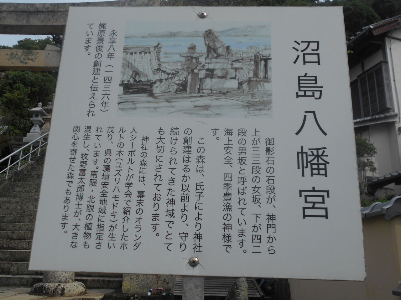 DSCN2600