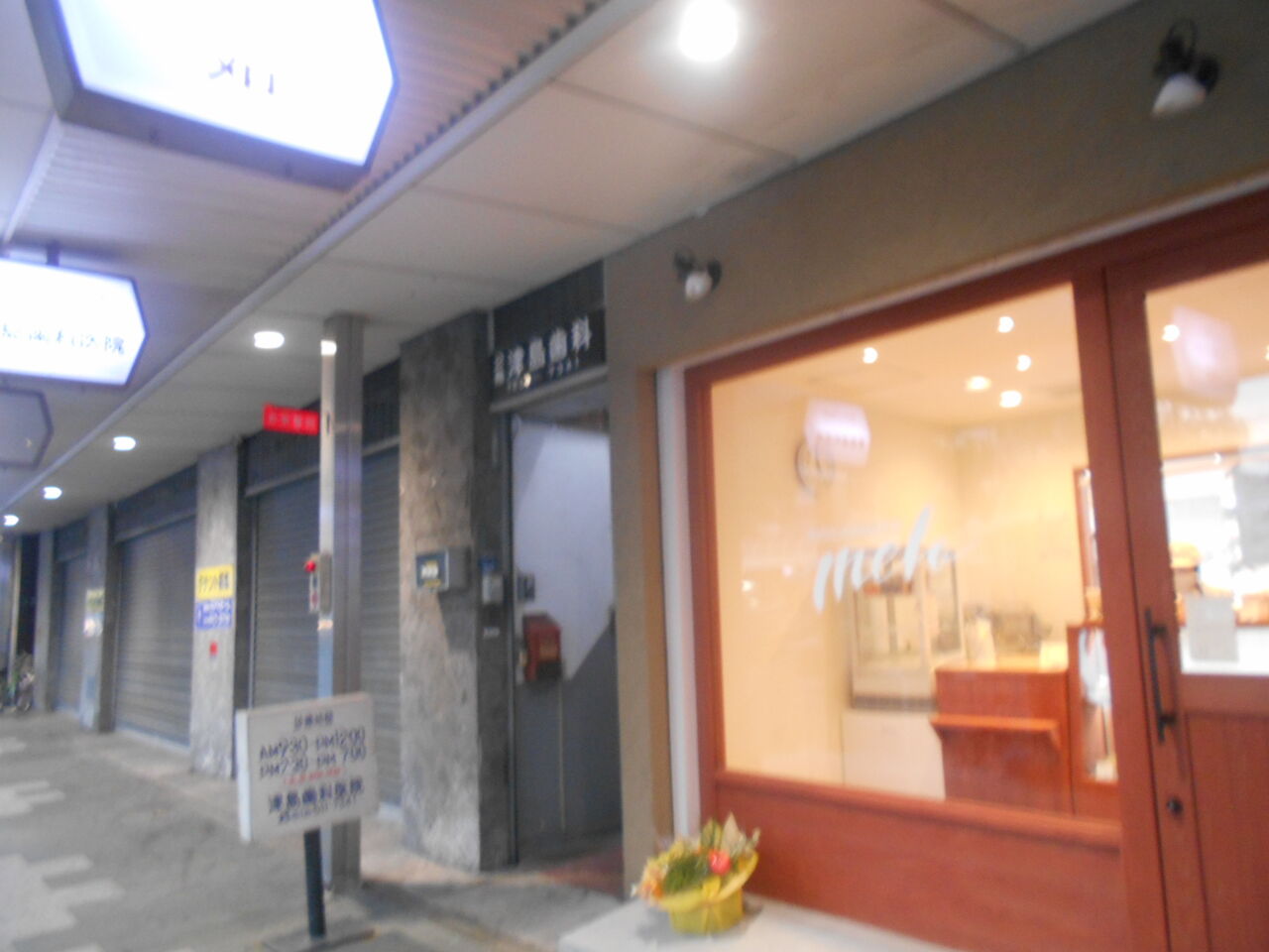 DSCN2923