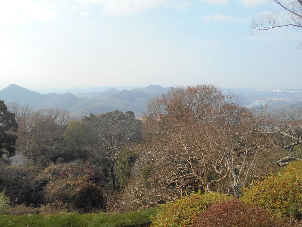DSCN0708