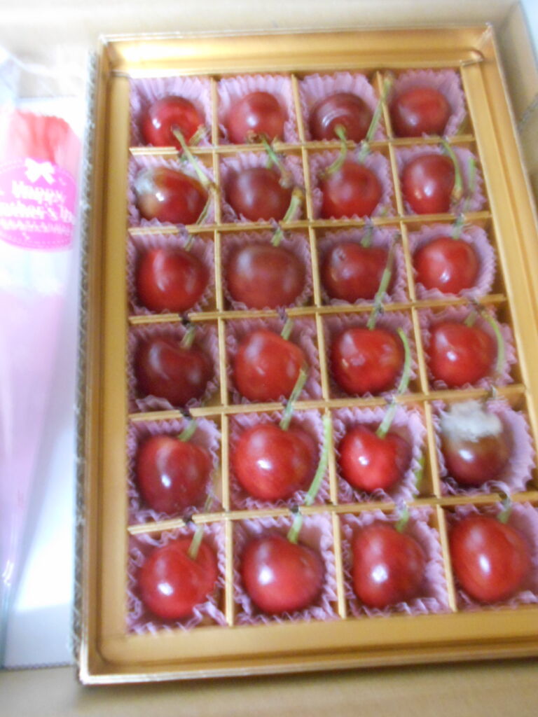 DSCN4568
