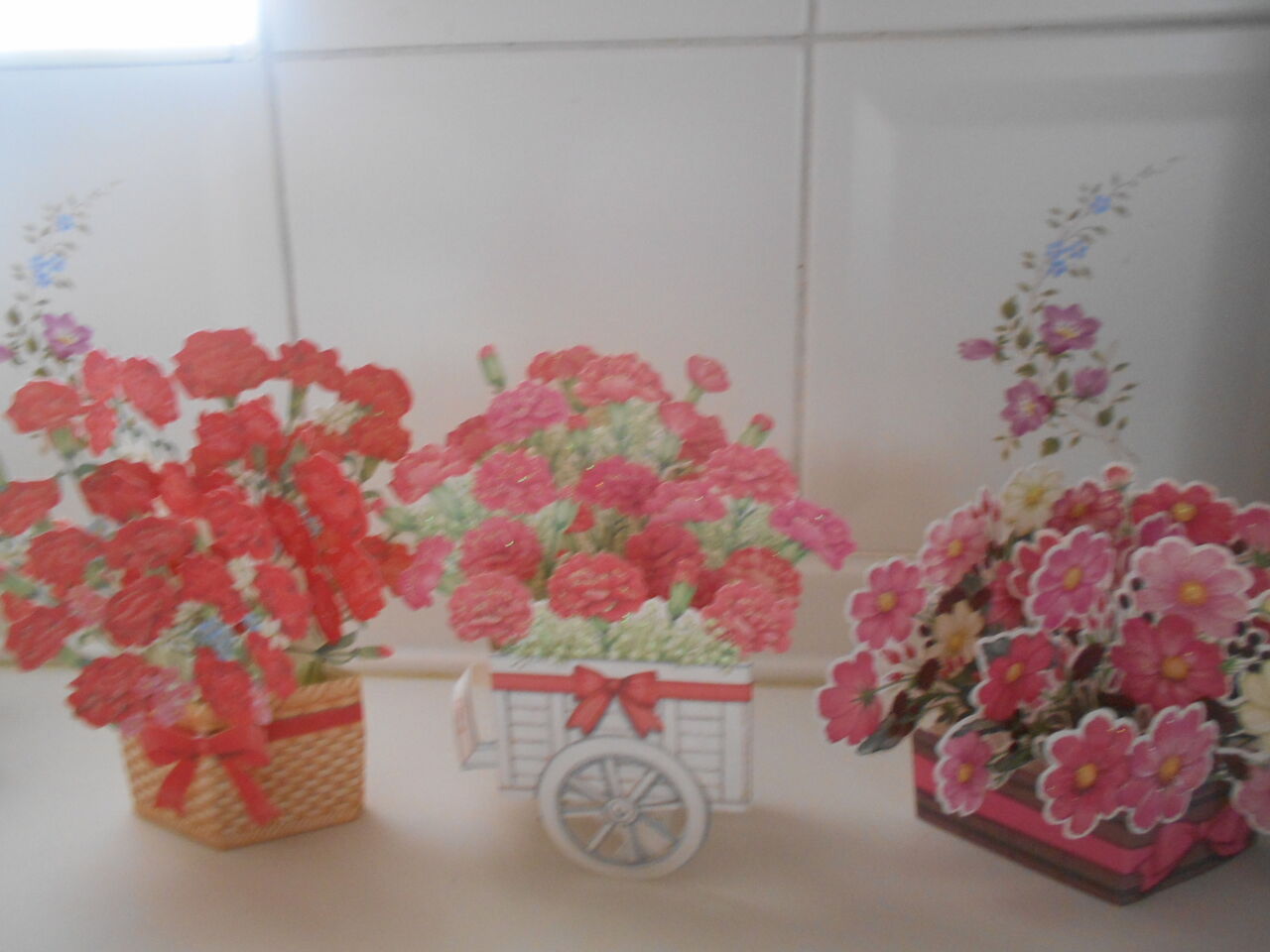 DSCN1622