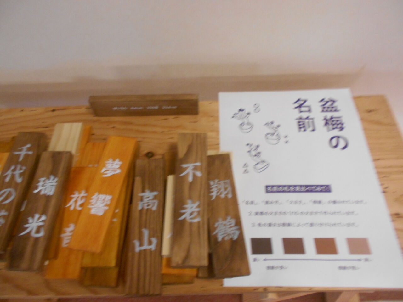 DSCN0780
