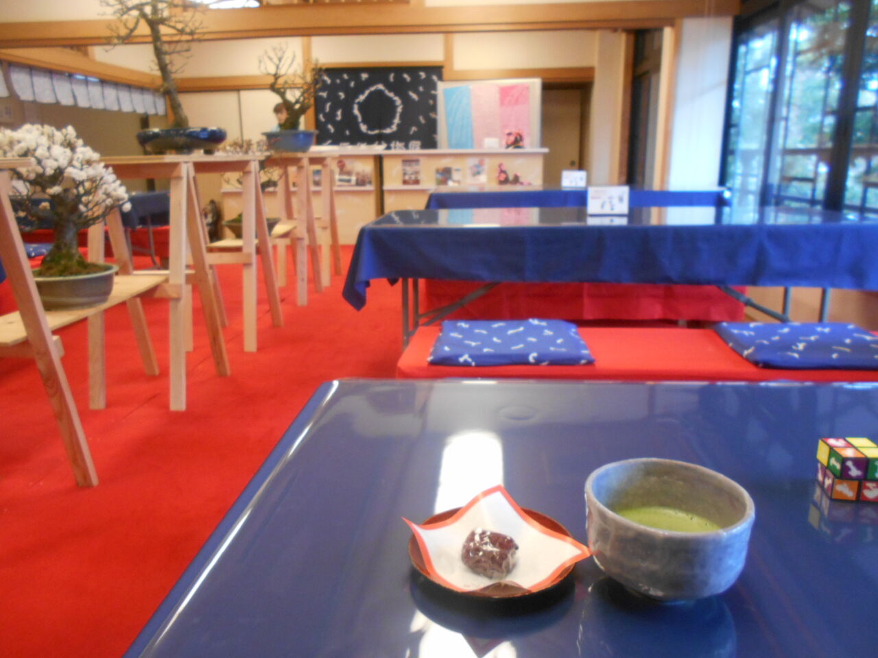 DSCN0787