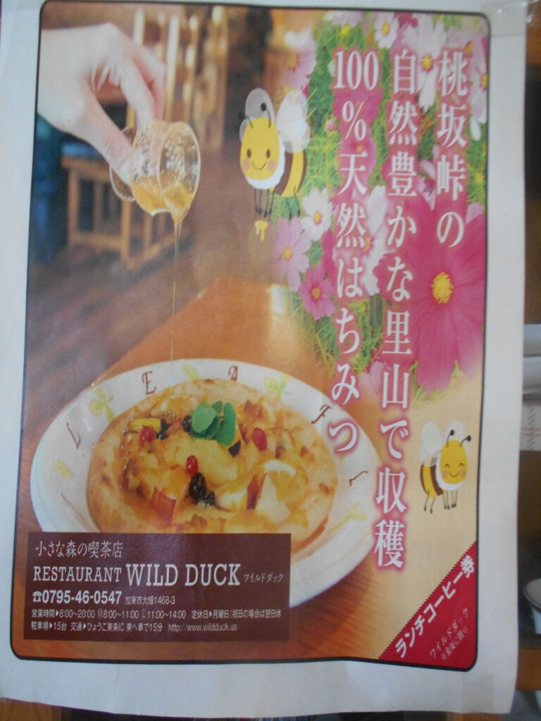 DSCN5664