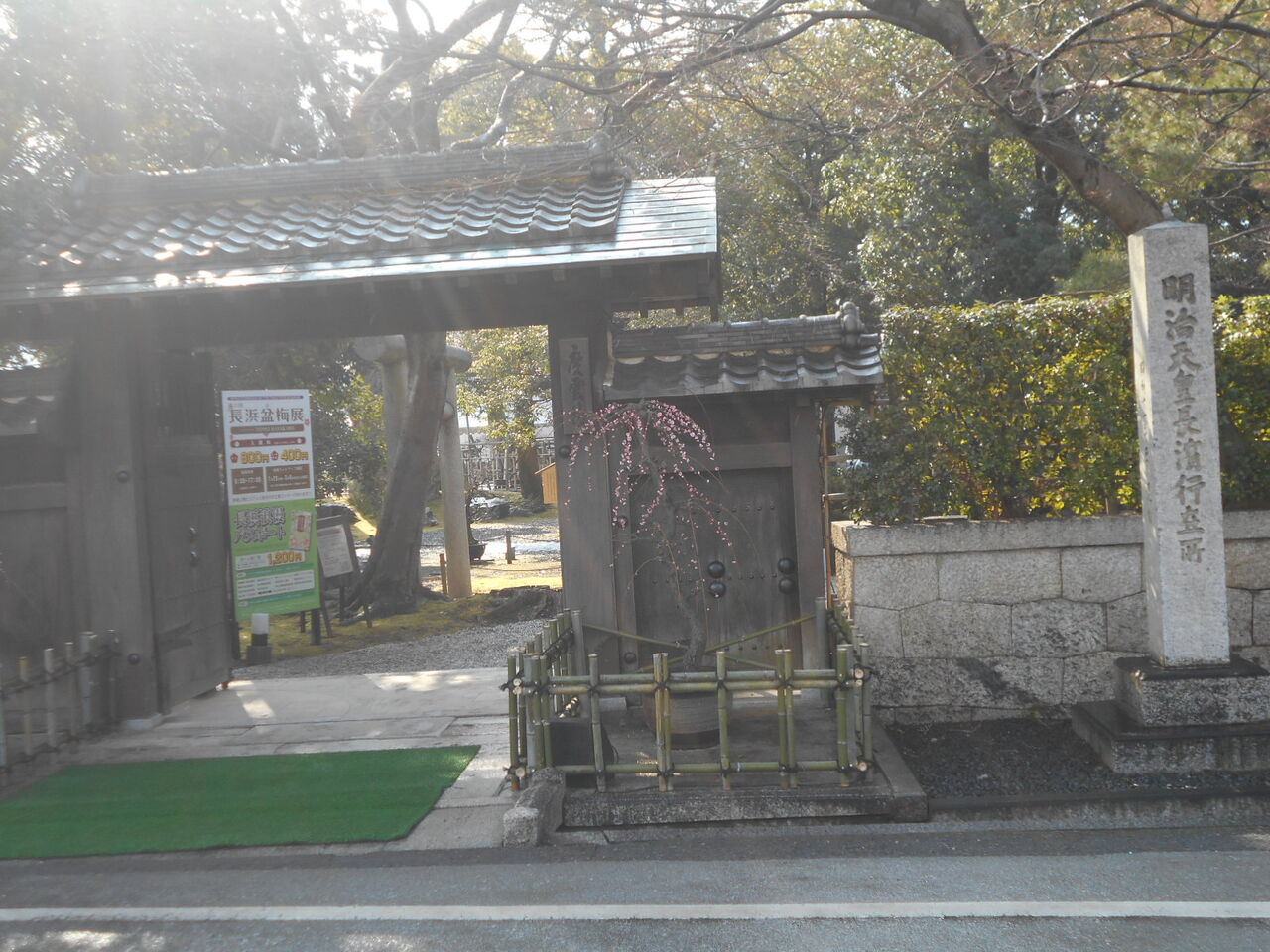 DSCN7303