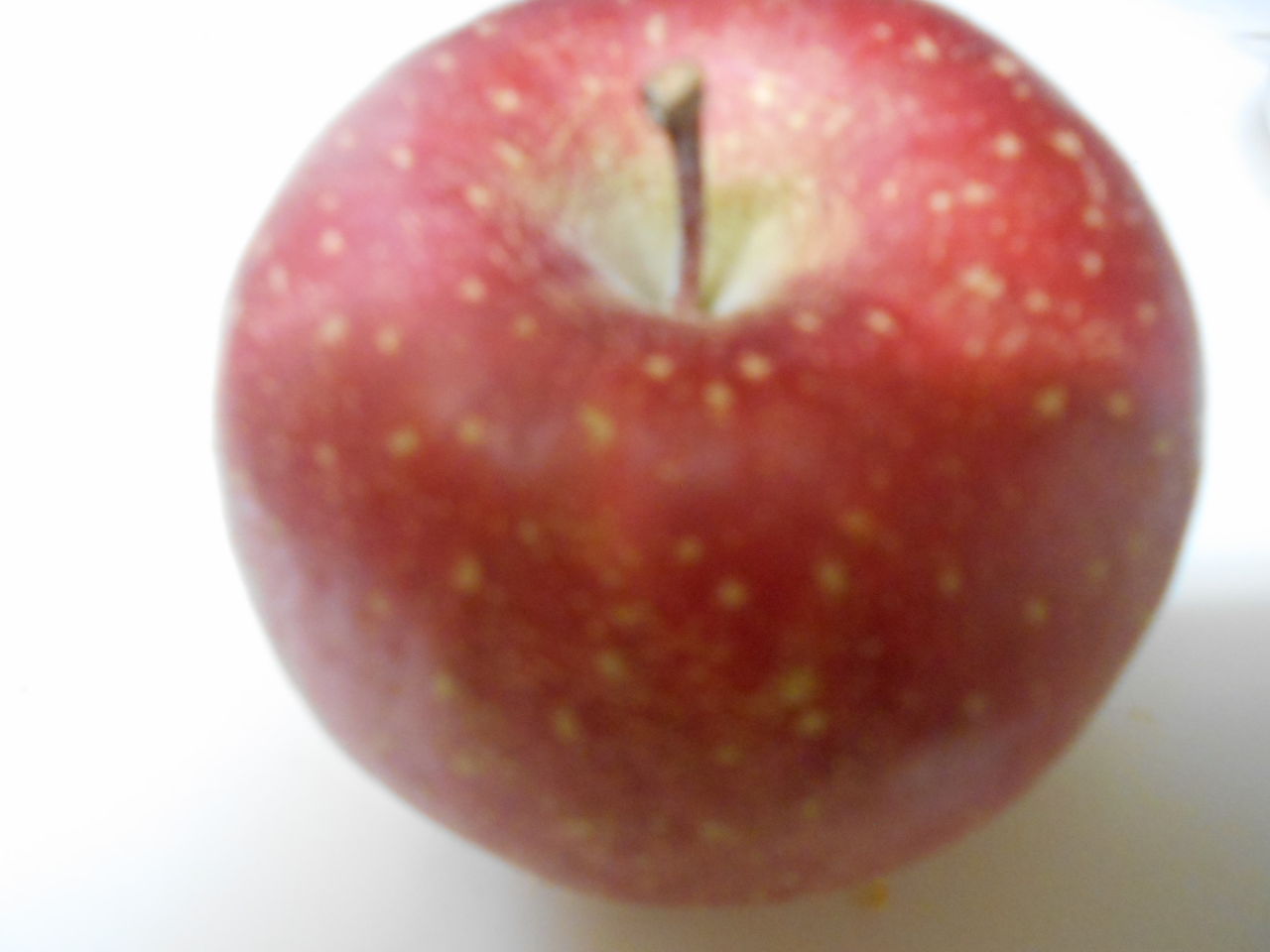 DSCN8782