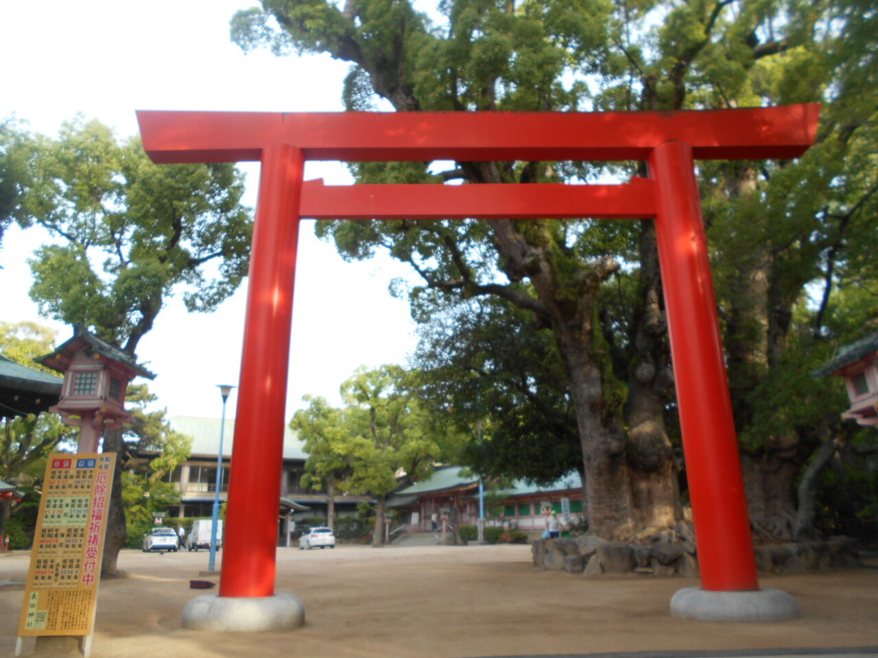 DSCN8604