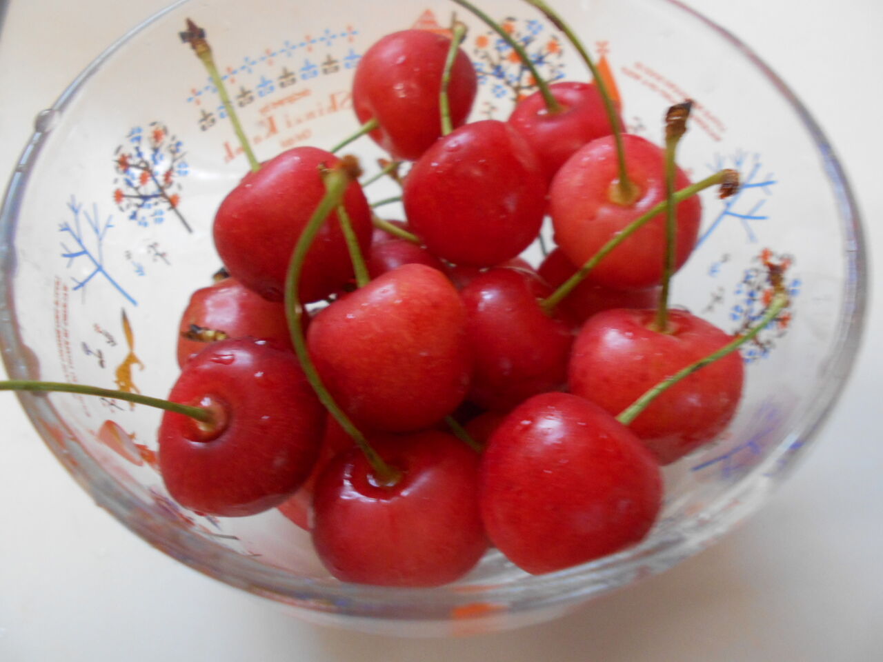 DSCN8374