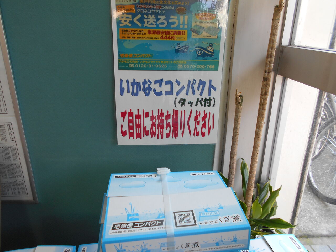 DSCN0599