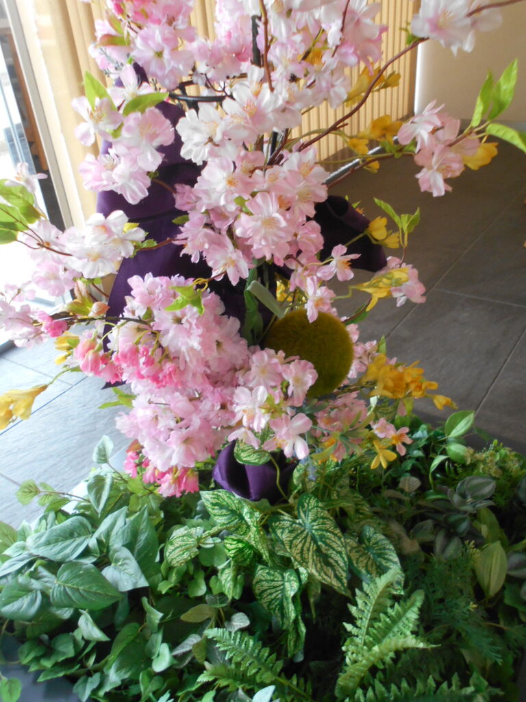 DSCN2507