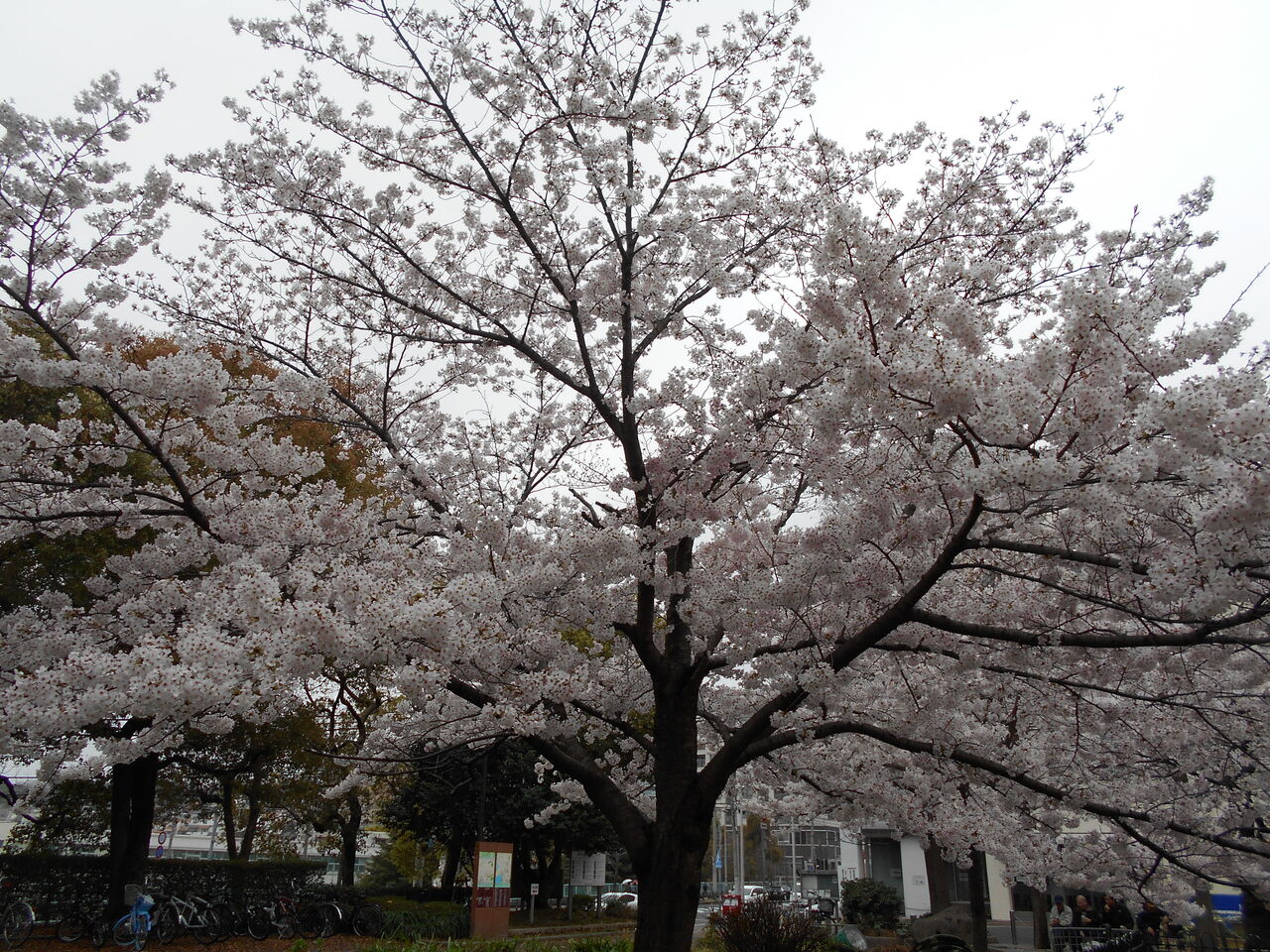 DSCN1070