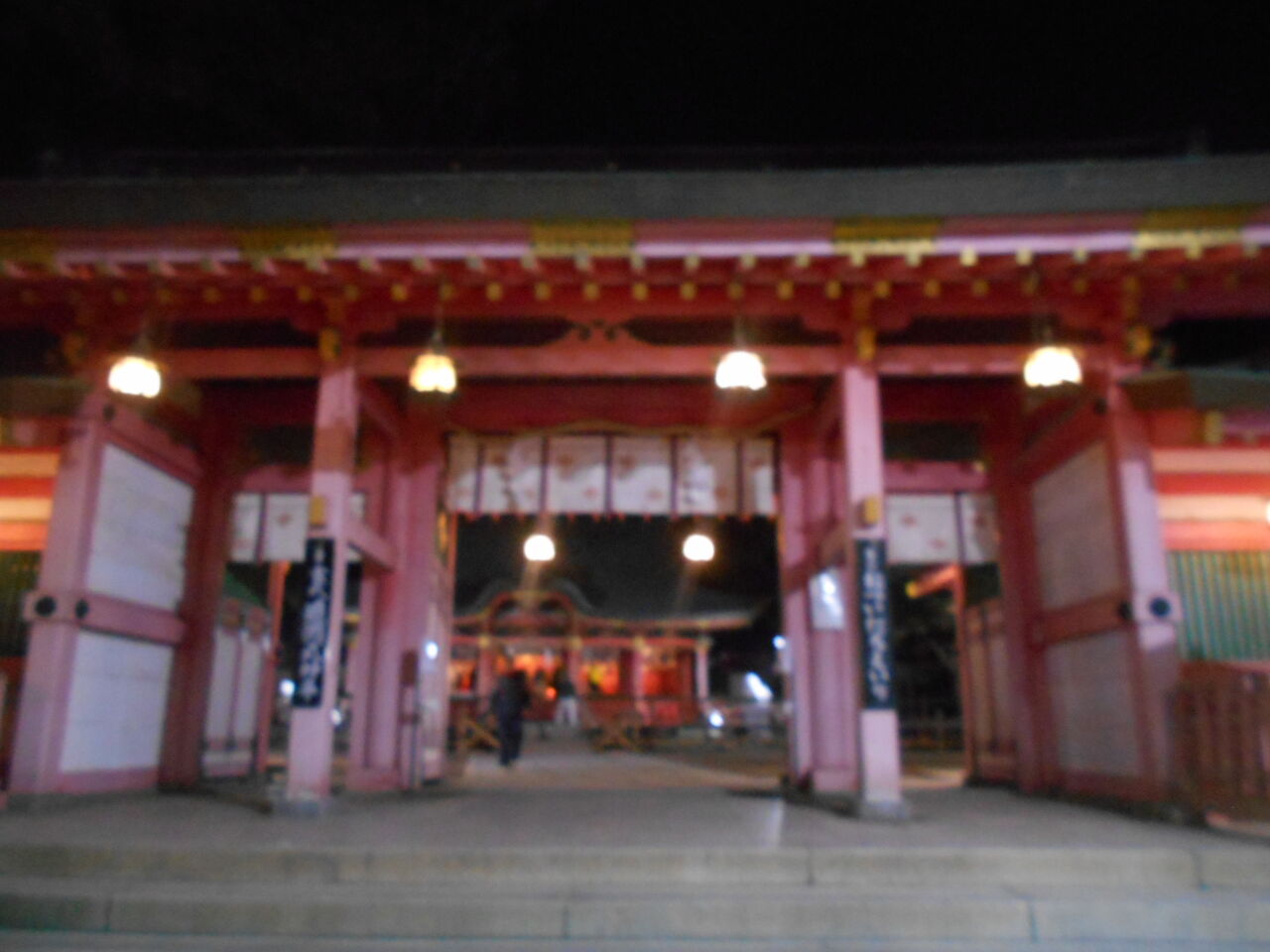 DSCN1842