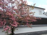 DSCN1407