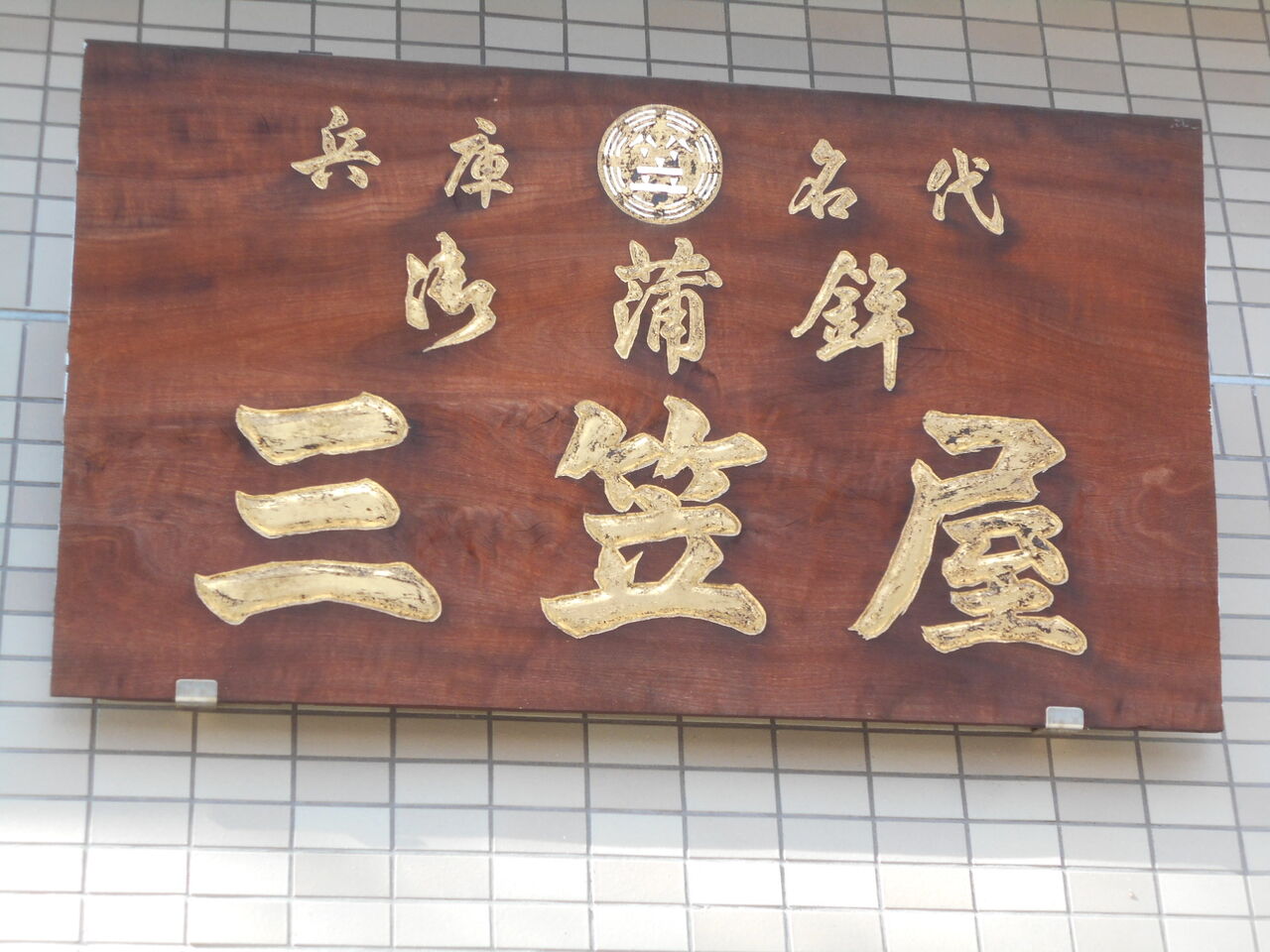 DSCN0946